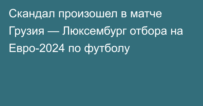 Скандал произошел в матче Грузия — Люксембург отбора на Евро-2024 по футболу