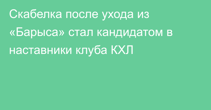 Скабелка после ухода из «Барыса» стал кандидатом в наставники клуба КХЛ