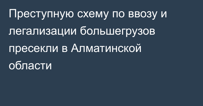 Преступную схему по ввозу и легализации большегрузов пресекли в Алматинской области