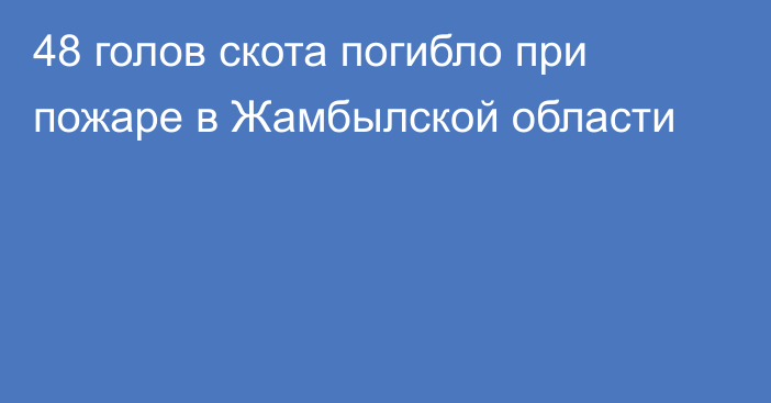 48 голов скота погибло при пожаре в Жамбылской области