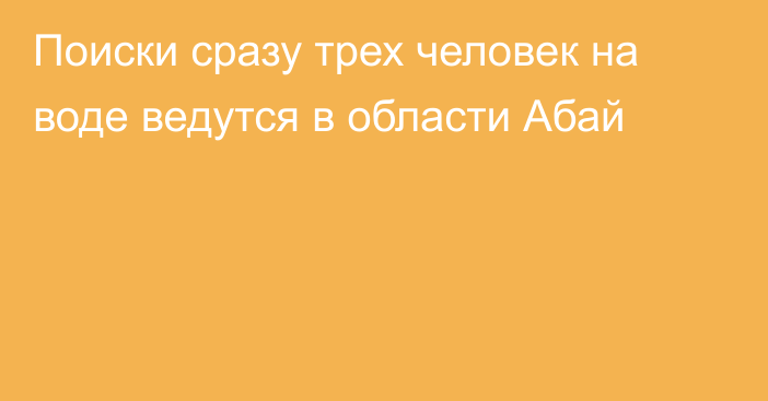 Поиски сразу трех человек на воде ведутся в области Абай