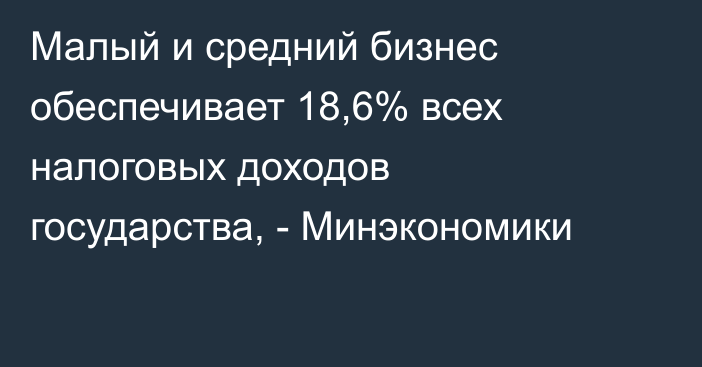 Малый и средний бизнес обеспечивает 18,6% всех налоговых доходов государства, - Минэкономики 