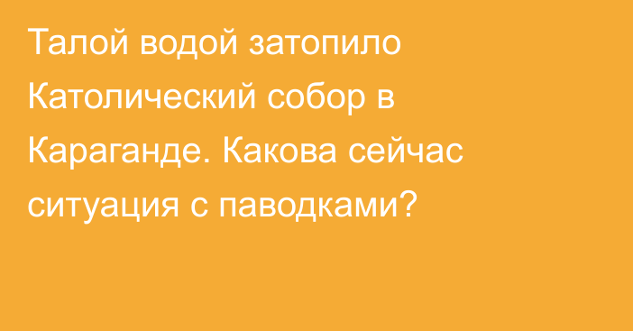 Талой водой затопило Католический собор в Караганде. Какова сейчас ситуация с паводками?