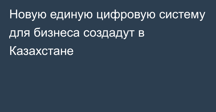 Новую единую цифровую систему для бизнеса создадут в Казахстане