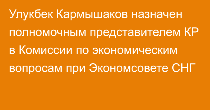 Улукбек Кармышаков назначен полномочным представителем КР в Комиссии по экономическим вопросам при Экономсовете СНГ