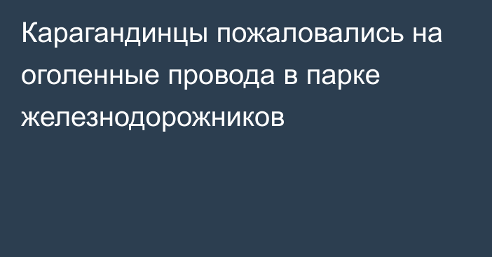 Карагандинцы пожаловались на оголенные провода в парке железнодорожников