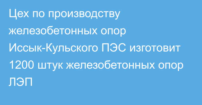 Цех по производству железобетонных опор Иссык-Кульского ПЭС изготовит 1200 штук железобетонных опор ЛЭП