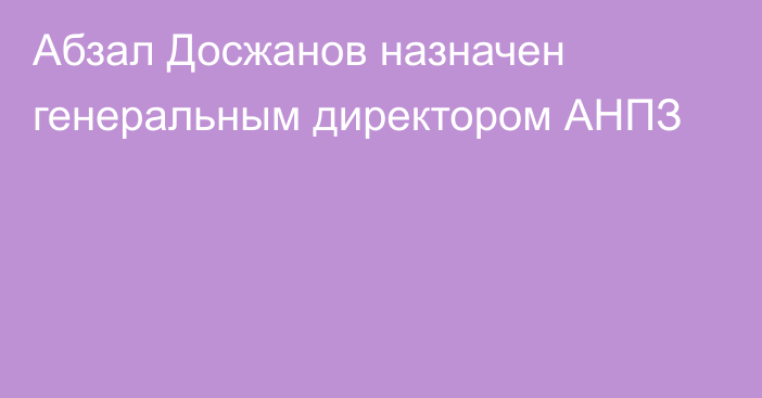 Абзал Досжанов назначен генеральным директором АНПЗ