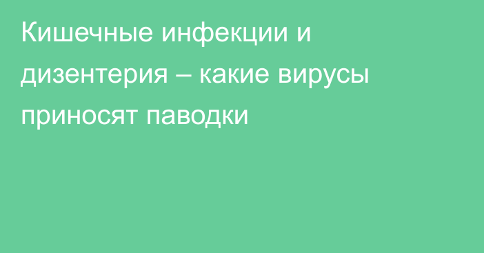 Кишечные инфекции и дизентерия – какие вирусы приносят паводки