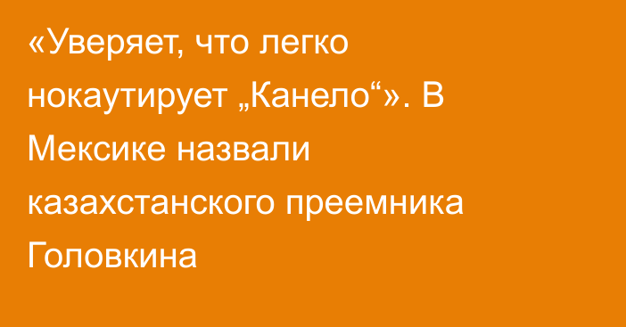 «Уверяет, что легко нокаутирует „Канело“». В Мексике назвали казахстанского преемника Головкина