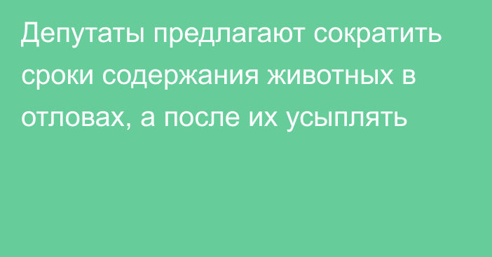 Депутаты предлагают сократить сроки содержания животных в отловах, а после их усыплять