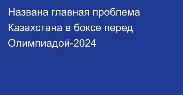 Названа главная проблема Казахстана в боксе перед Олимпиадой-2024