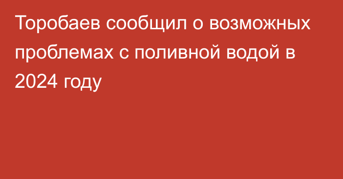 Торобаев сообщил о возможных проблемах с поливной водой в 2024 году