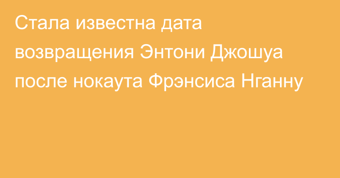 Стала известна дата возвращения Энтони Джошуа после нокаута Фрэнсиса Нганну