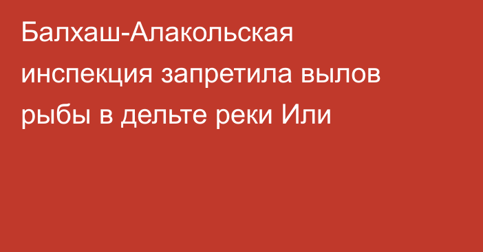 Балхаш-Алакольская инспекция запретила вылов рыбы в дельте реки Или