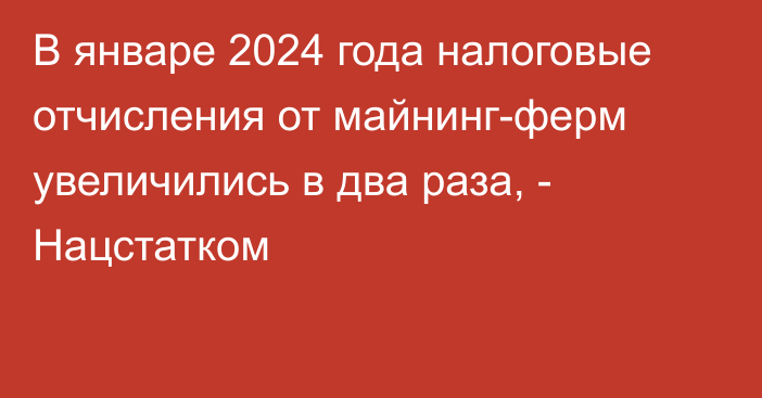 В январе 2024 года налоговые отчисления от майнинг-ферм увеличились в два раза, - Нацстатком