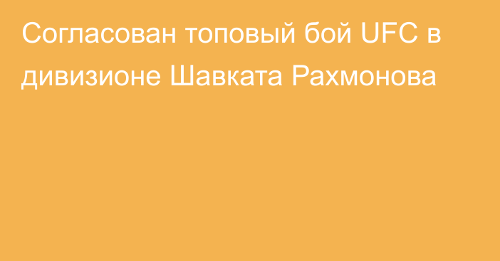 Согласован топовый бой UFC в дивизионе Шавката Рахмонова