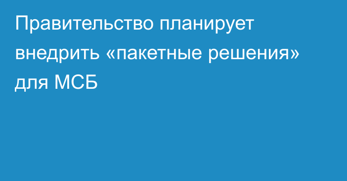 Правительство планирует внедрить «пакетные решения» для МСБ