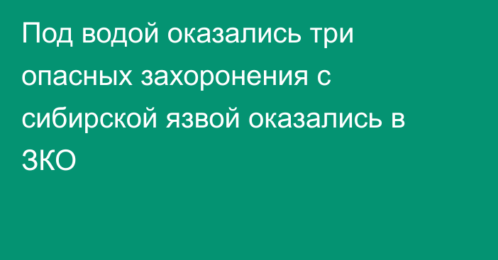 Под водой оказались три опасных захоронения с сибирской язвой оказались в ЗКО