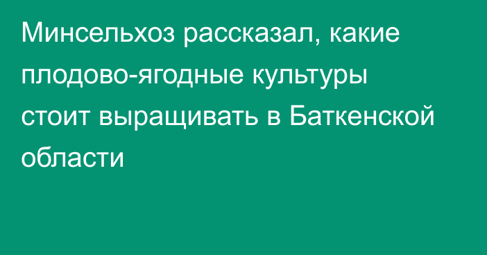 Минсельхоз рассказал, какие плодово-ягодные культуры стоит выращивать в Баткенской области