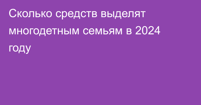 Сколько средств выделят многодетным семьям в 2024 году