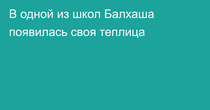 В одной из школ Балхаша появилась своя теплица