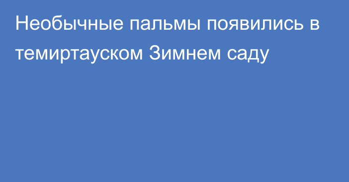 Необычные пальмы появились в темиртауском Зимнем саду