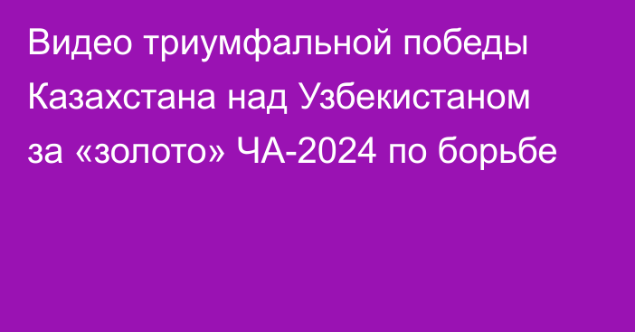 Видео триумфальной победы Казахстана над Узбекистаном за «золото» ЧА-2024 по борьбе