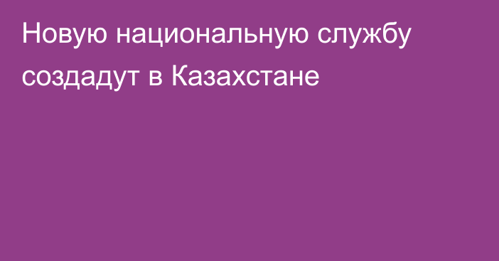 Новую национальную службу создадут в Казахстане