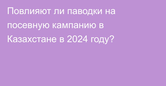 Повлияют ли паводки на посевную кампанию в Казахстане в 2024 году?