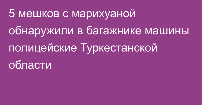 5 мешков с марихуаной обнаружили в багажнике машины полицейские Туркестанской области