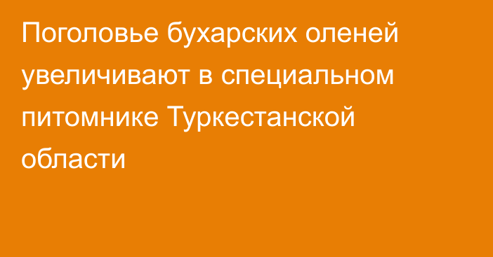 Поголовье бухарских оленей увеличивают в специальном питомнике Туркестанской области