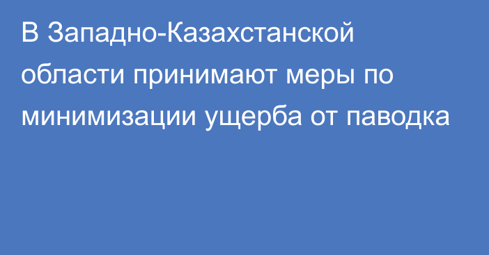 В Западно-Казахстанской области принимают меры по минимизации ущерба от паводка