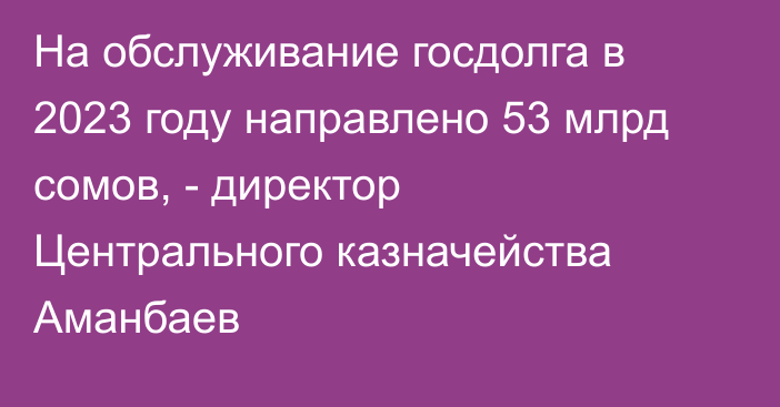 На обслуживание госдолга в 2023 году направлено 53 млрд сомов, - директор Центрального казначейства Аманбаев