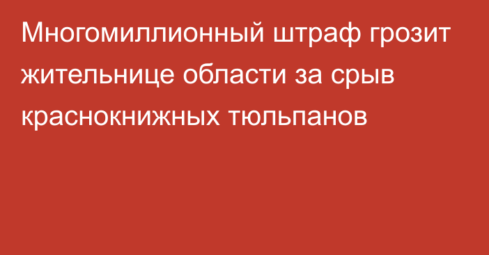 Многомиллионный штраф грозит жительнице области за срыв краснокнижных тюльпанов