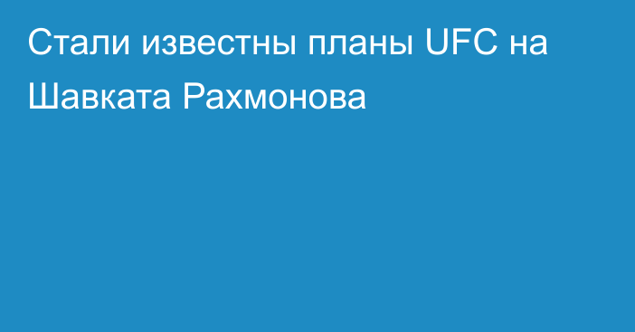 Стали известны планы UFC на Шавката Рахмонова