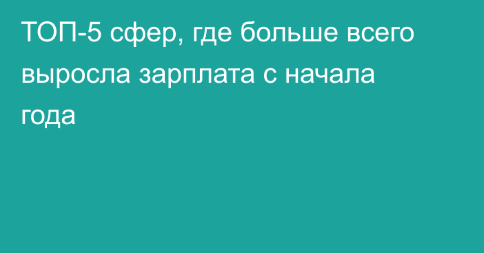 ТОП-5 сфер, где больше всего выросла зарплата с начала года