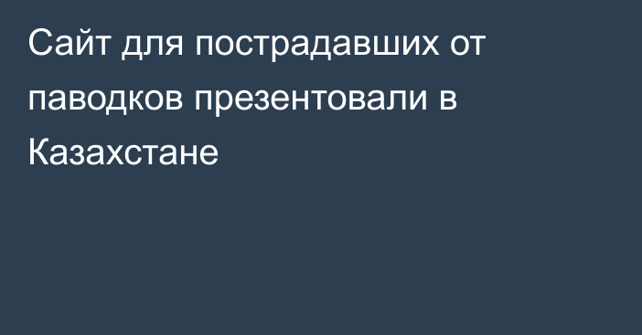 Сайт для пострадавших от паводков презентовали в Казахстане