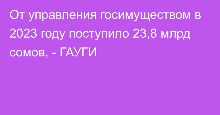 От управления госимуществом в 2023 году поступило 23,8 млрд сомов, - ГАУГИ