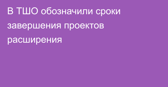 В ТШО обозначили сроки завершения проектов расширения