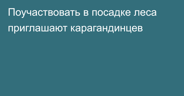 Поучаствовать в посадке леса приглашают карагандинцев