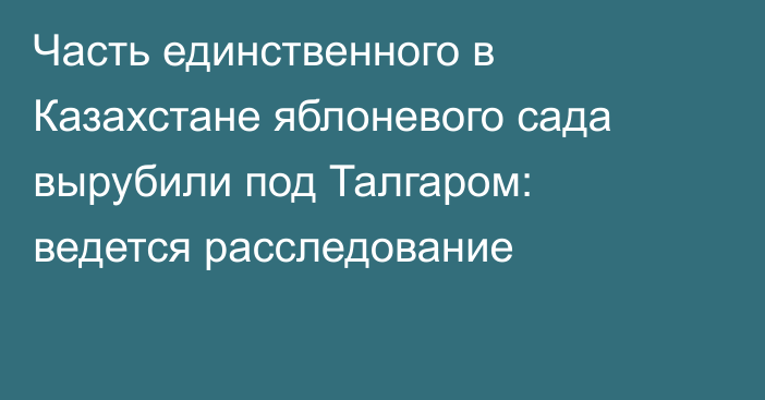 Часть единственного в Казахстане яблоневого сада вырубили под Талгаром: ведется расследование