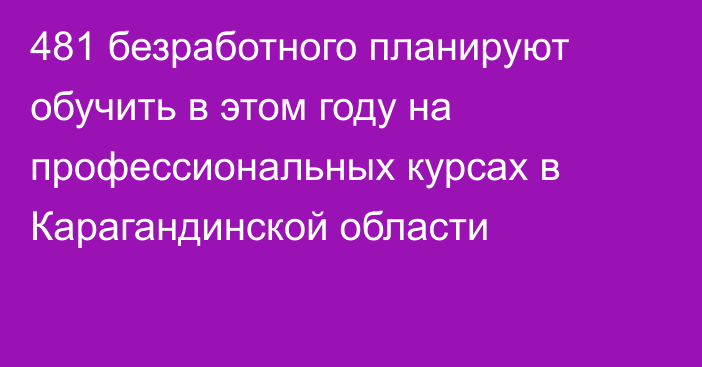 481 безработного планируют обучить в этом году на профессиональных курсах в Карагандинской области