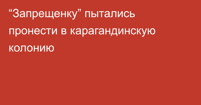 “Запрещенку” пытались пронести в карагандинскую колонию