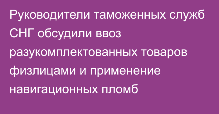 Руководители таможенных служб СНГ обсудили ввоз разукомплектованных товаров физлицами и применение навигационных пломб