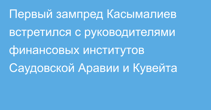 Первый зампред Касымалиев встретился с руководителями финансовых институтов Саудовской Аравии и Кувейта