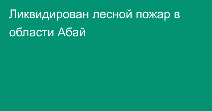 Ликвидирован лесной пожар в области Абай