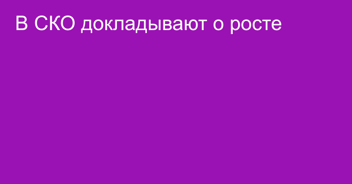 В СКО докладывают о росте