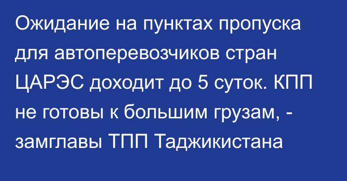 Ожидание на пунктах пропуска для автоперевозчиков стран ЦАРЭС доходит до 5 суток. КПП не готовы к большим грузам, - замглавы ТПП Таджикистана