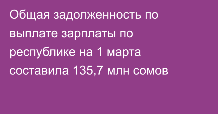 Общая задолженность по выплате зарплаты по республике на 1 марта составила 135,7 млн сомов